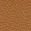 F6471006 cashmere