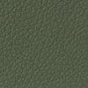 416 Olive