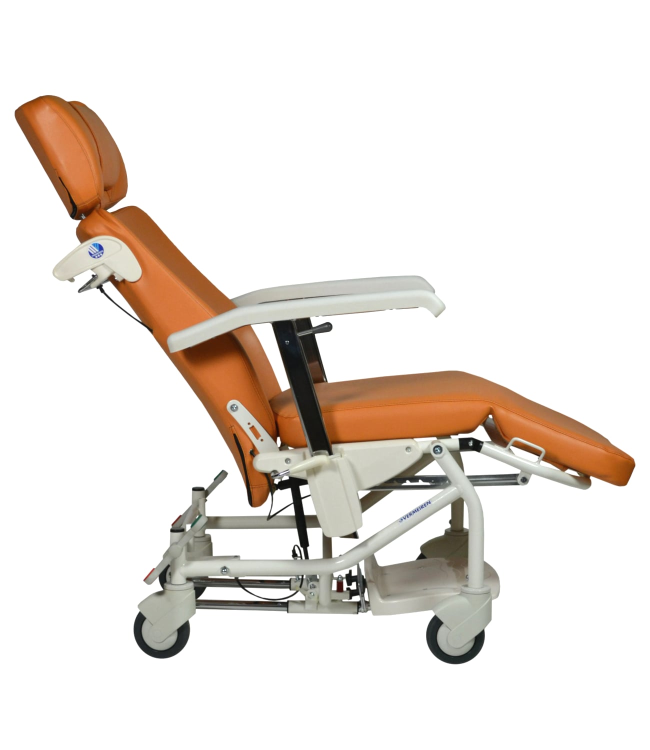 regina_ruecken regina_ruecken