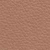 921 Apricot