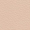 479 Skin