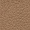F6471005 cappuccino