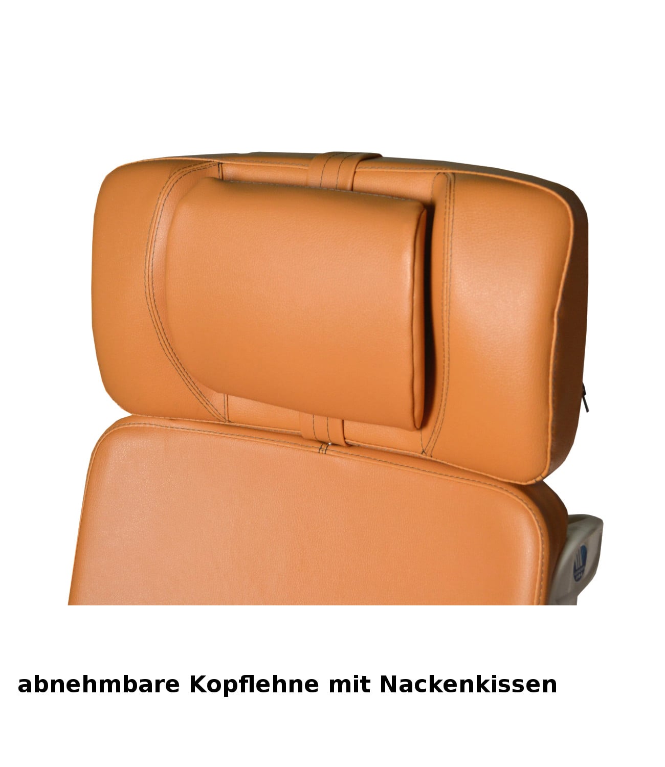 regina_kopflehne regina_kopflehne